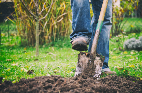 gardening