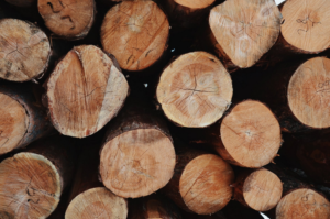 tree logs