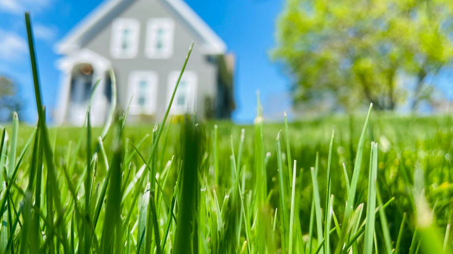lawn