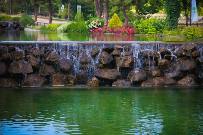 pond